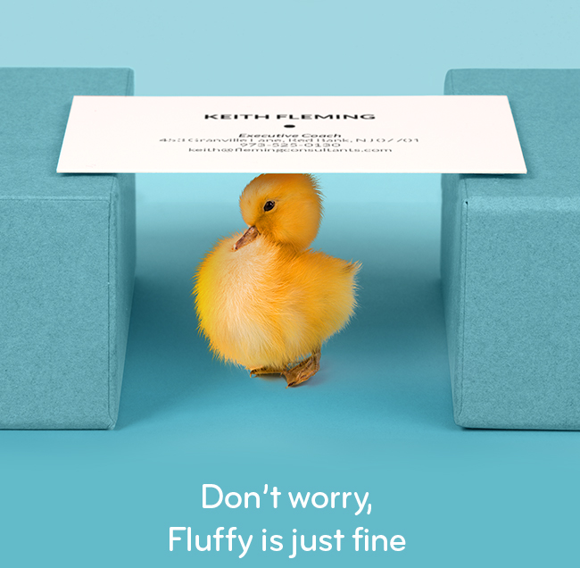 Don't worry, Fluffy is just fine