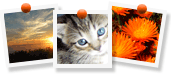 Upload your own photos or choose from MOO designer images