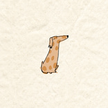 dog sitting