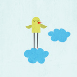 Bird and Cloud