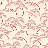 Bonzai 04