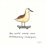 Sandpipers