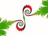 curly q 25
