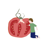 Tomato