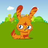 Katsuma 
