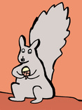 Squirrel