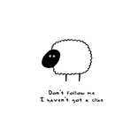 follow 