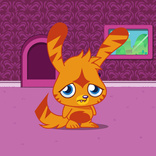 Katsuma 