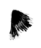 Solo Crow