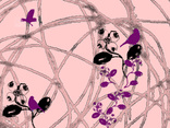 bird & blooms pink