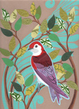 swallow nouveau