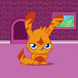 Katsuma 