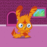 Katsuma 