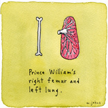 Royal Femur and Lung