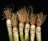 Onions