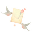 rosy love birds 