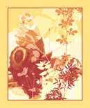 Butterfly love  2