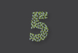 green numbers small 05