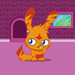 Katsuma 