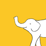 Elephant 1