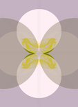 1090-3.jpg