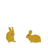 Rabbit