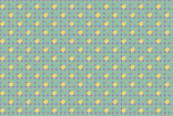 28 206916