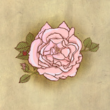 Inkymole Rose