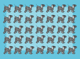 Woof!