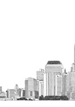 ny1 