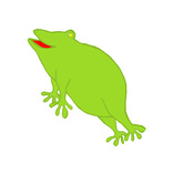 Frog 1