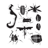 DixonBugs.jpg
