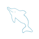 Dolphin 1