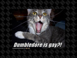 dumbledore is gay?!