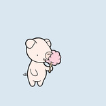 candypig