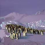 emperors