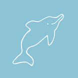 Dolphin 2