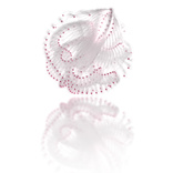 the enraptured cranberry jellyfish of tokyo