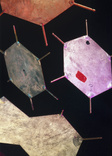 Crick and Watsons' Model