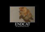 endcat