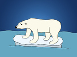 Polar