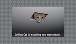 ceiling cat