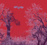 4corner trees red