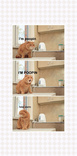 I'm poopin