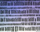 Chromosomes