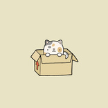 cat in a box 