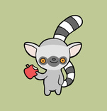 ringtail