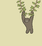 Siamang Swing