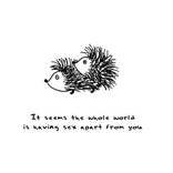 hedgehog 