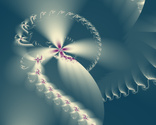Flower 7